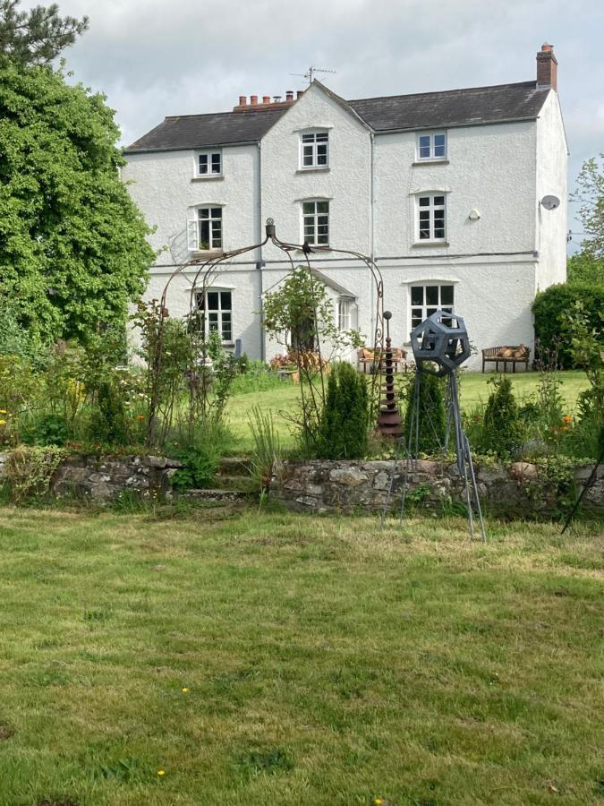 Art House B & B Raglan Esterno foto