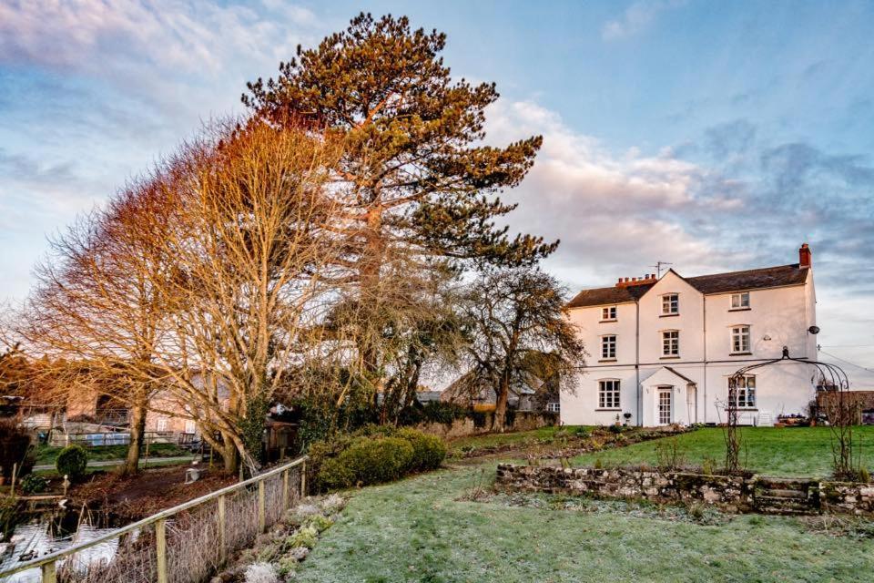 Art House B & B Raglan Esterno foto