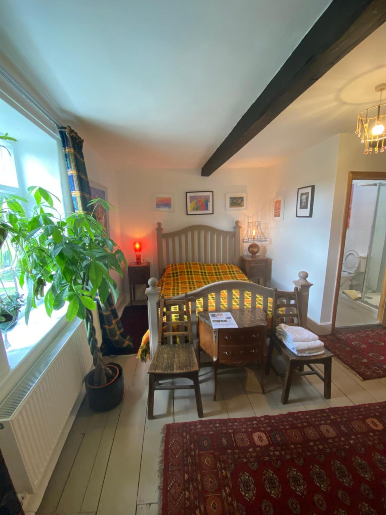 Art House B & B Raglan Camera foto